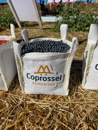 Dia de Campo Coprossel -Evento reuniu produtores, lideranças e empresas parceiras para apresentar tecnologias 